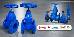 valvula compuerta mafusa