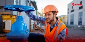 Válvula compuerta bridada